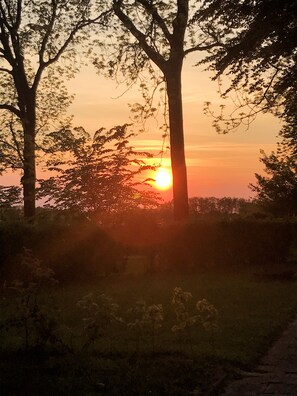 View from room - Ostsee-Gutshaus Bungalows (Am Salzhaff)