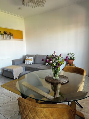 TV - Apartment with 3 bedrooms, balcony, free Wi-Fi, a few minutes from 24 de Agosto (Porto)