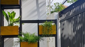 A vertical garden with various plants in yellow planters against a white wall.