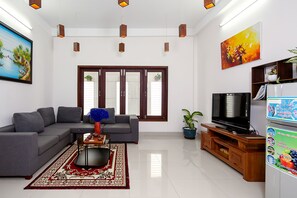 TV, fireplace, books, music library