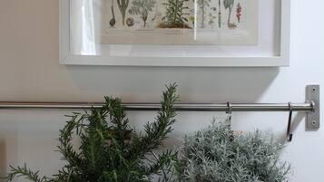 A framed botanical illustration on a wall, two potted plants hanging below, and a metal rod.
