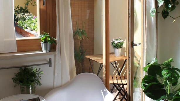 A room with a wooden ceiling, a white chair, a small table with a book, and potted plants. - house in the medieval district of Tivoli (Tivoli)