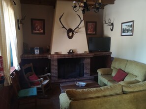 Télévision, cheminée, chaîne hi-fi