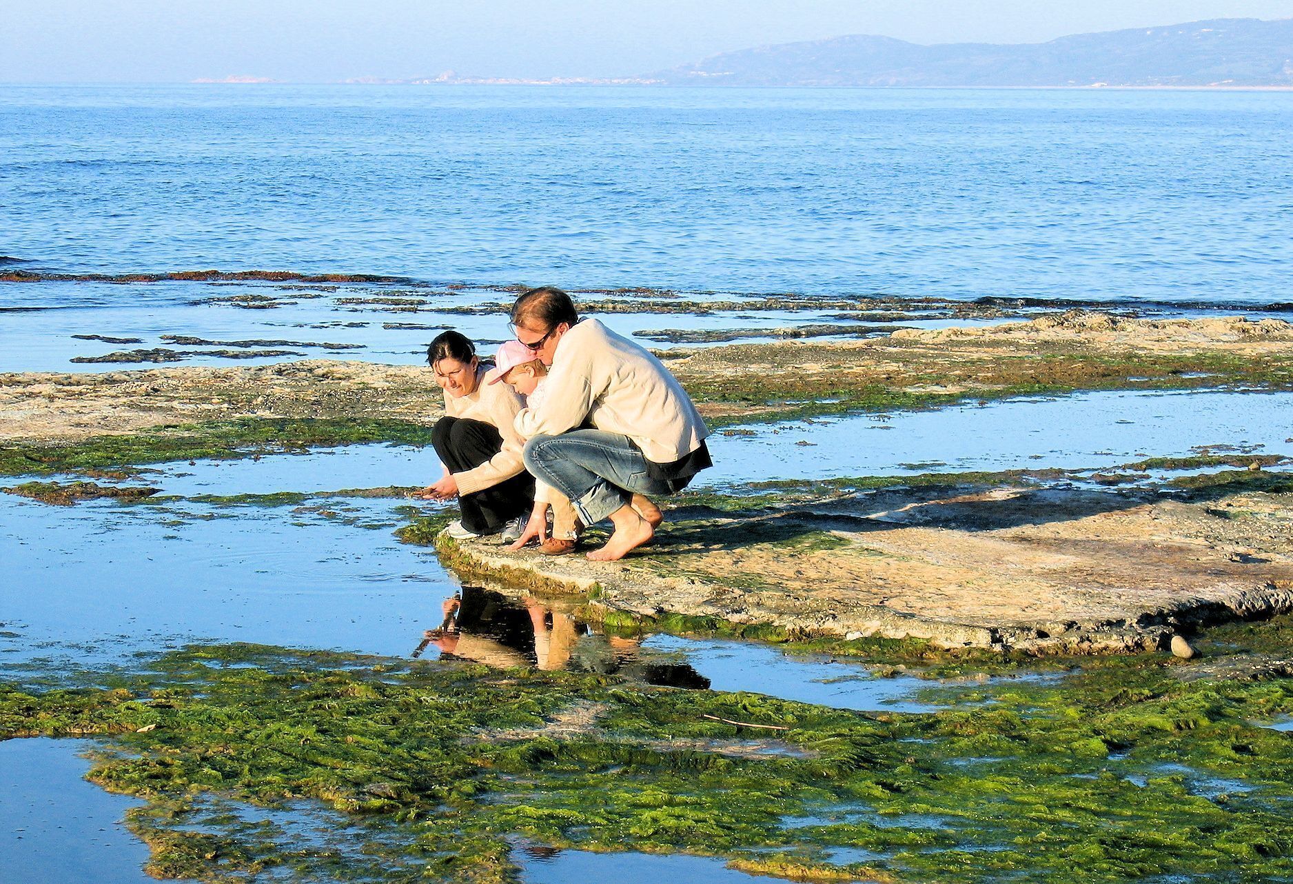 A rocky shoreline with clear water and distant mountains.