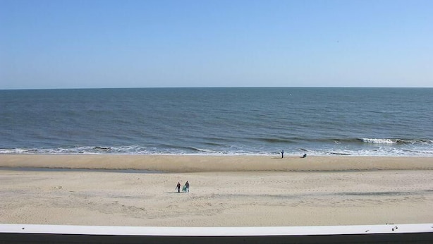 Ein Strand mit blauem Himmel und ruhiger See.