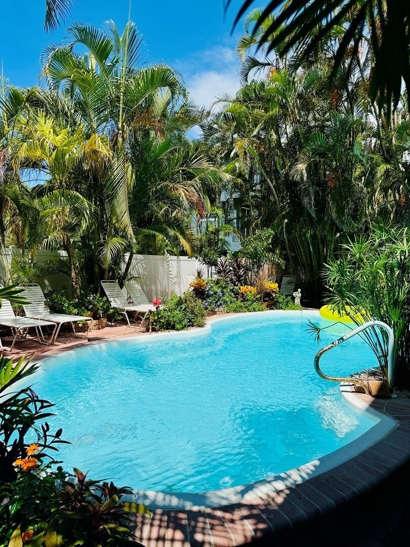 Una piscina rodeada de abundante vegetación y palmeras.