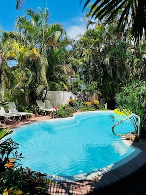 Una piscina rodeada de abundante vegetación y palmeras.