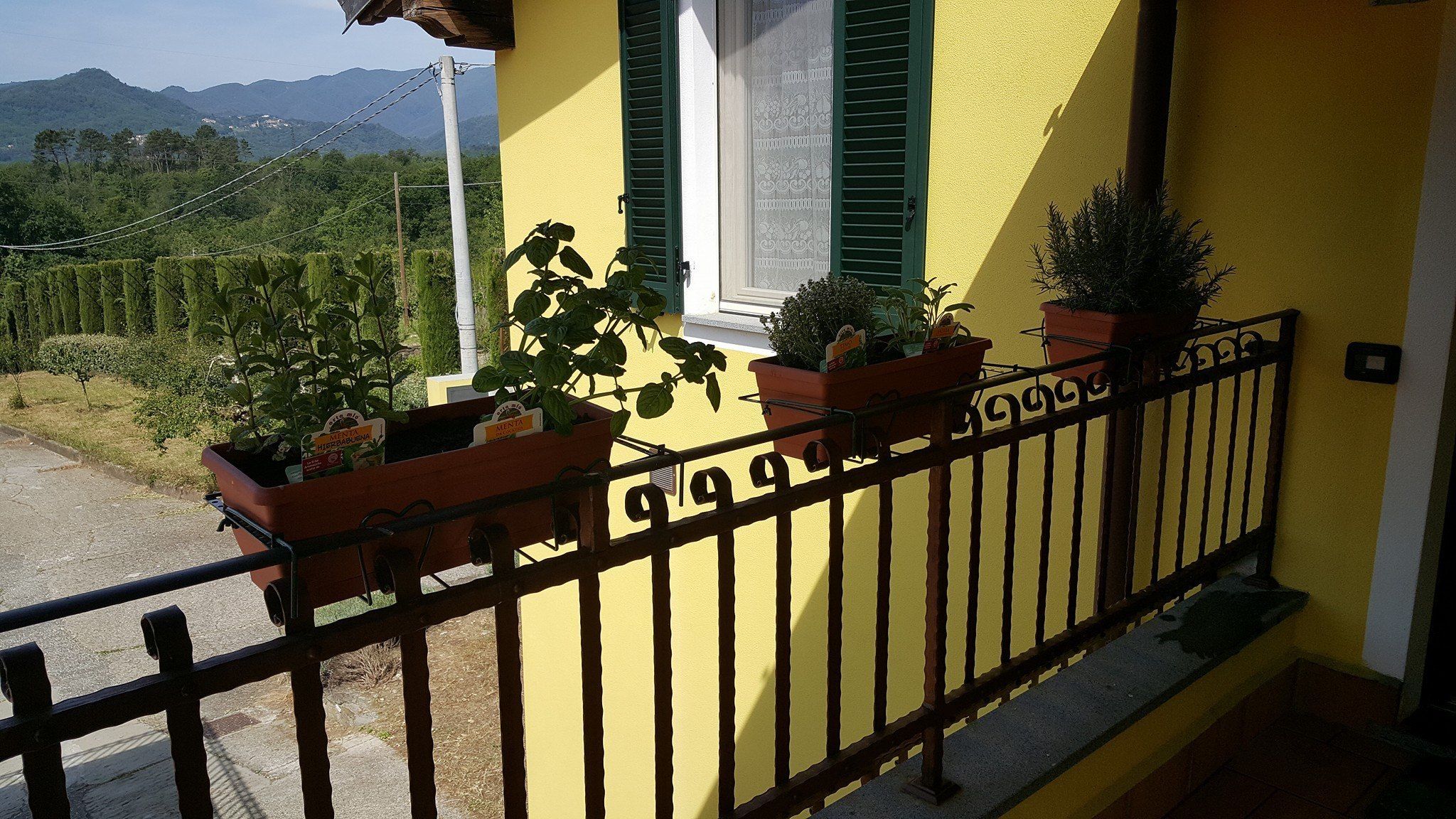 Un edificio amarillo con balcón, plantas en macetas y vistas a la vegetación y montañas.