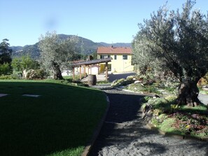 Una casa con un camino pavimentado que conduce a un porche cubierto, rodeada de vegetación y olivos.