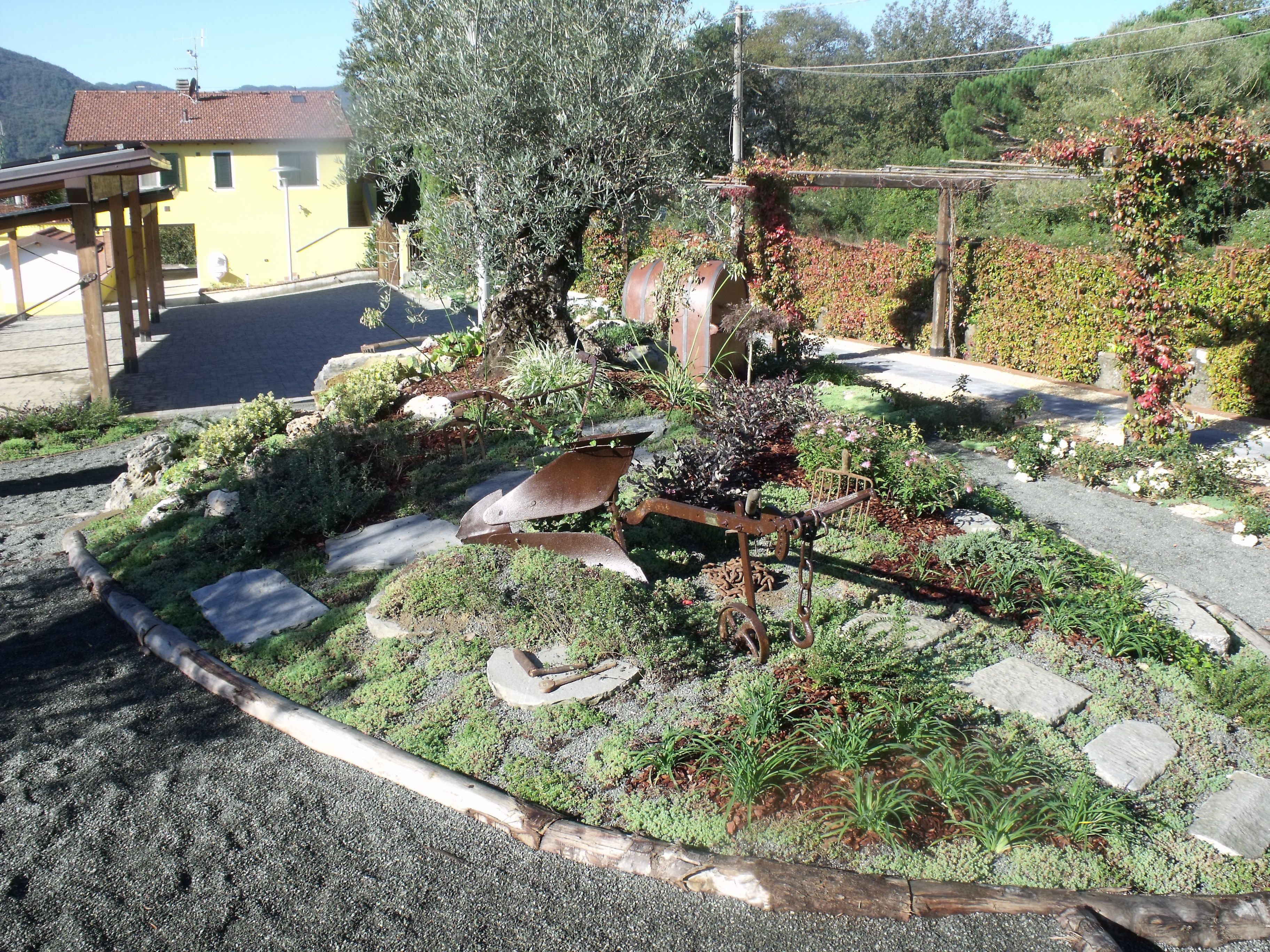 Een tuin met verschillende planten en een rustieke metalen constructie.