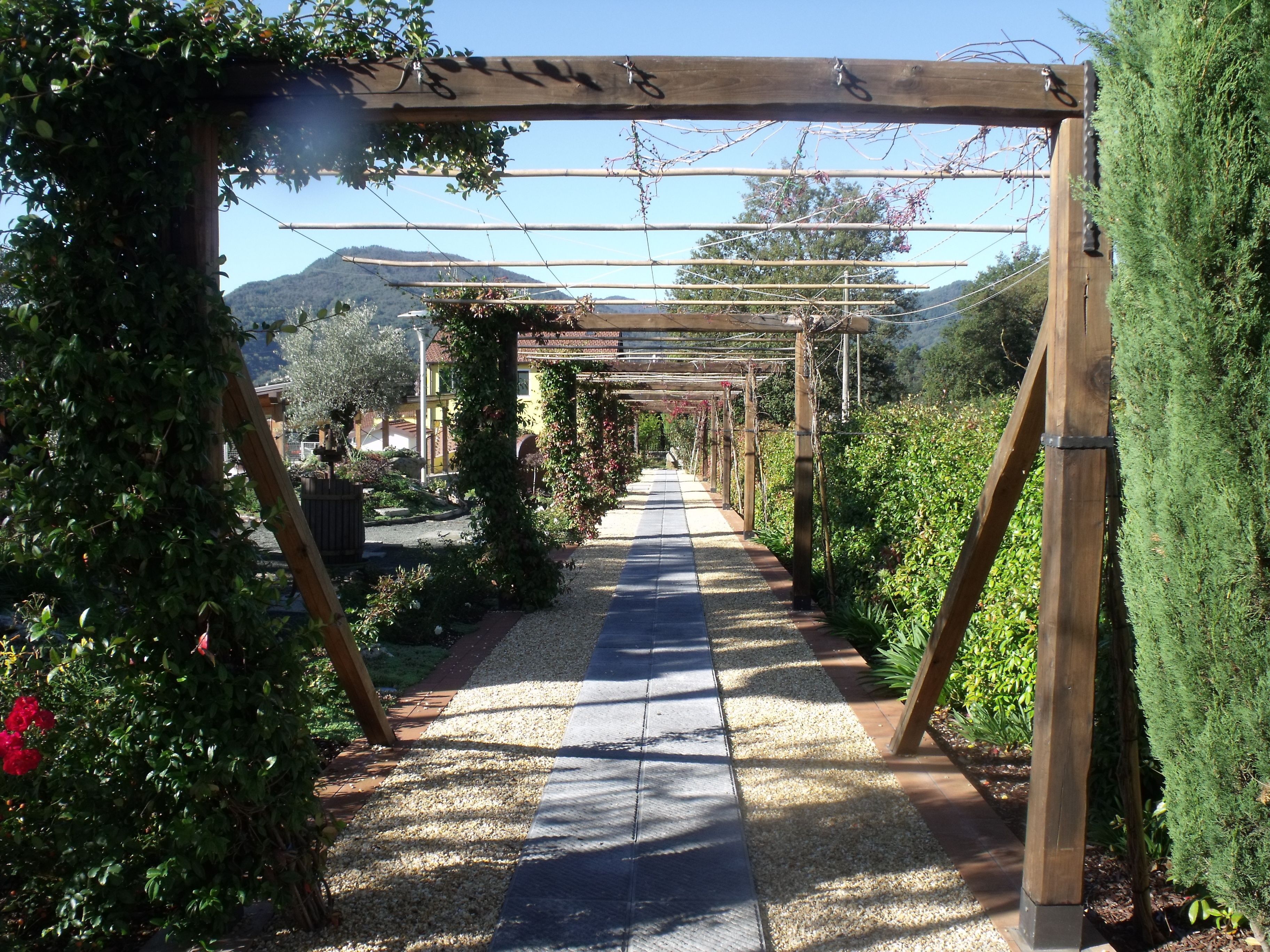 A garden pathway with wooden pergolas and climbing plants.