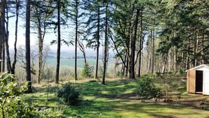 A forested area with a small shed and a grassy field. - Retreat to wine country (Amity)