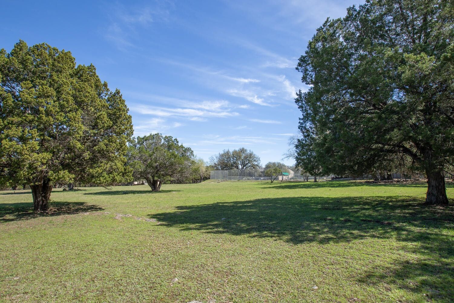 Un parque con árboles grandes y un campo cubierto de césped.