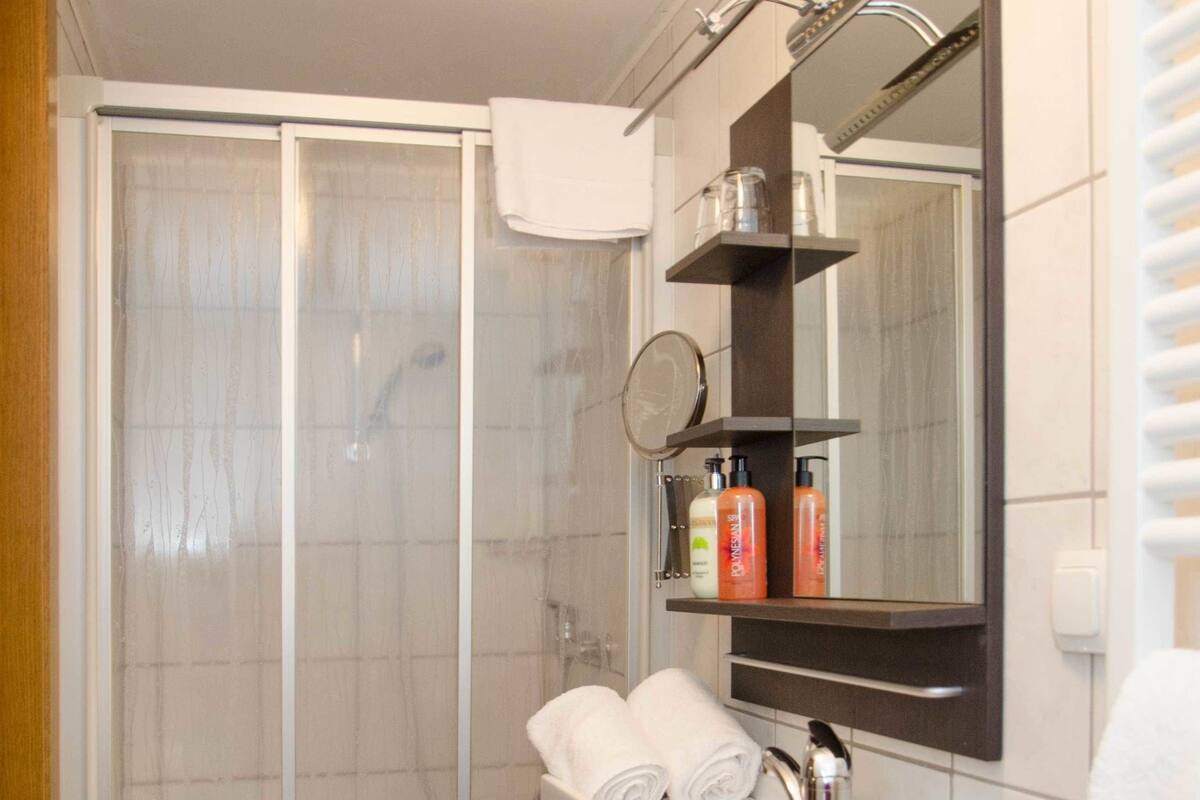 shower, rainfall showerhead, free toiletries, hair dryer