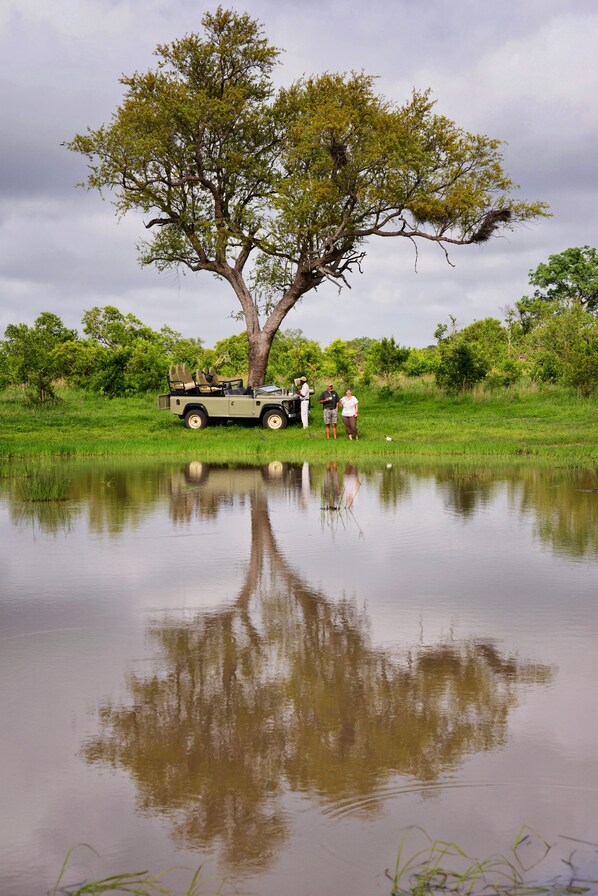Game viewing