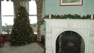 Een gezellige kamer met een open haard, een kerstboom en een raam met gordijnen.
