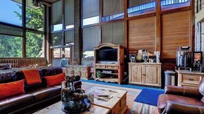 Smart TV, fireplace, books, video library