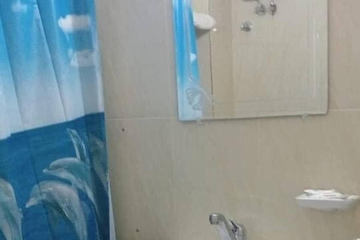 A bathroom with a white sink, a mirror above it, and a blue shower curtain with a dolphin design.