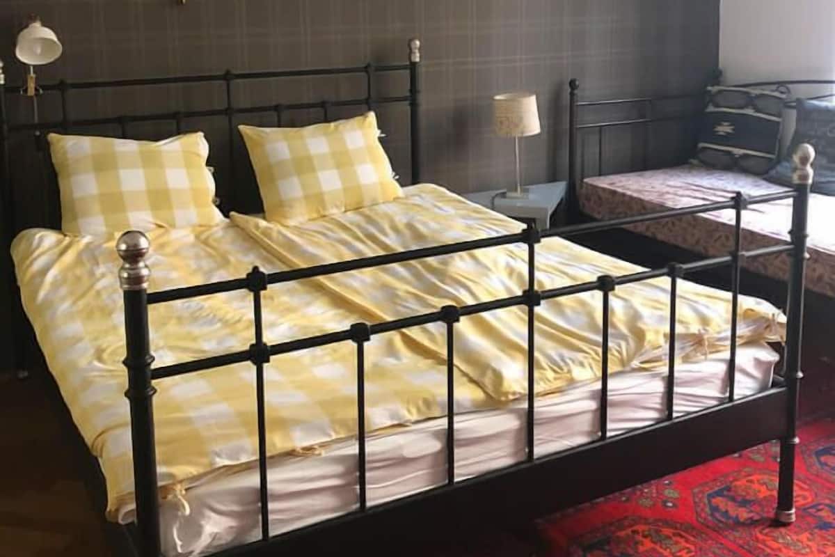 Una cama con estructura metálica, ropa de cama a cuadros y una alfombra roja estampada.