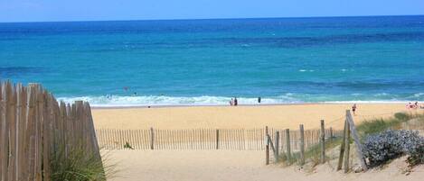 بالقرب من الشاطئ