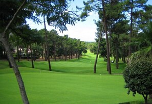Golfe