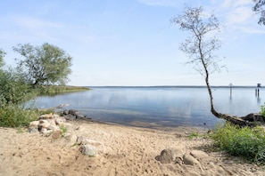 Lagoon 10 - Graureiher | Ausblick vom Zimmer