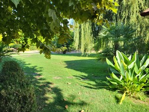 Un jardin bien entretenu, avec une grande variété de plantes et une pelouse soigneusement taillée.