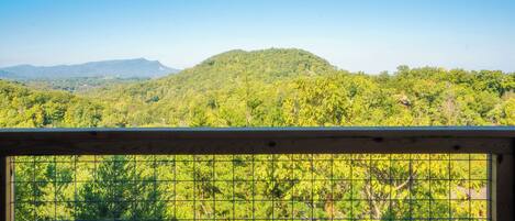 A view through a wooden fence with a grid pattern, overlooking a lush green landscape with a hill in the distance.
