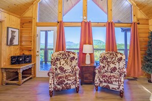 Televisión, chimenea y videojuegos 