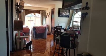 Shared Room for travelers in Exchange to study in Unam