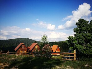 Property grounds - Lodge Nagramak (Bajina Bašta)