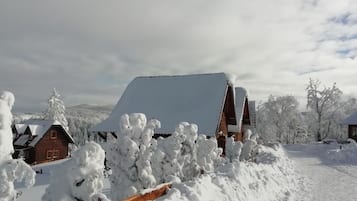 Yksityiskohta ulkoa