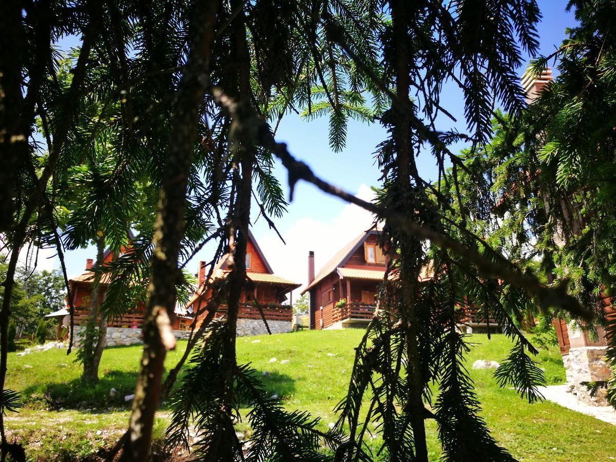 A rustic cabin with a stone foundation, surrounded by a well-maintained lawn and pine trees.