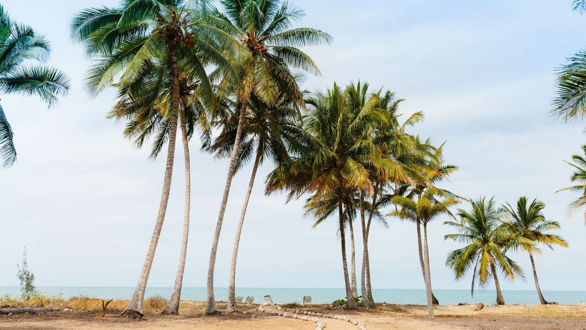 Thirty One Degrees by Contemporary Hotels