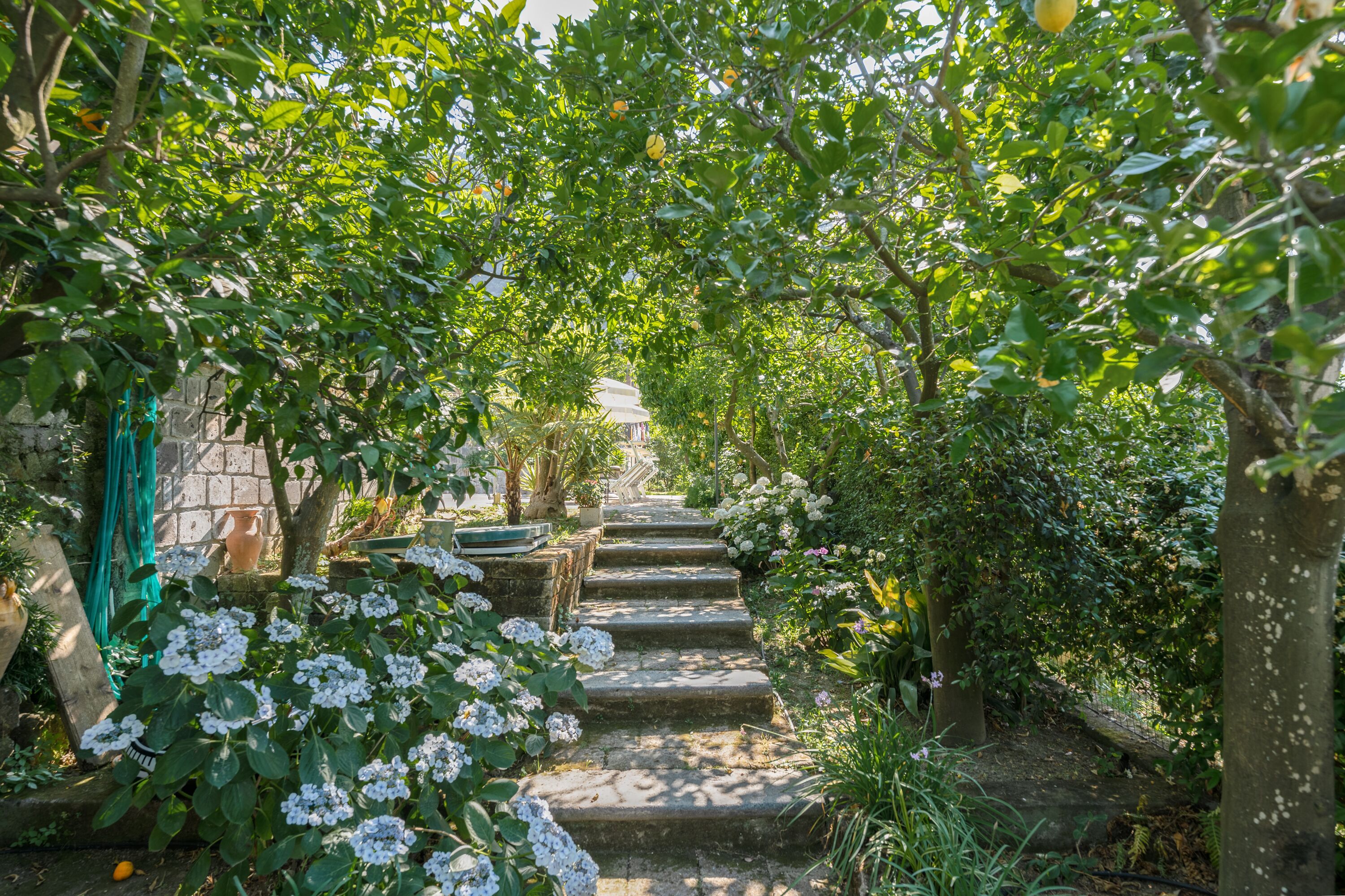 Parco della struttura