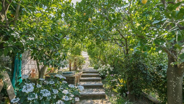A stone staircase surrounded by lush greenery and white flowers, leading up to a building with a traditional design. - 2 BEDROOM APARTMENT WITH A VIEW OF THE GULF OF NAPLES (Sant'Agnello)