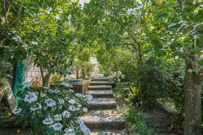 Una escalera de piedra rodeada de exuberante vegetación y flores blancas, que conduce a un edificio de diseño tradicional.