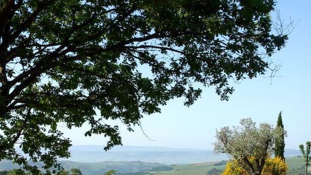 Ein steiniger Weg führt zu einem rustikalen Gebäude, umgeben von üppiger Vegetation und einem malerischen Ausblick auf sanfte Hügel.