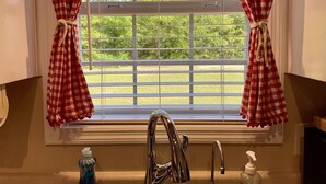 A kitchen with a window, a sink, and a bottle of dish soap. - Lunas Flat  145 :Spotless, Sweet, Cozy & Comfy. Just renovated. (Aiken)