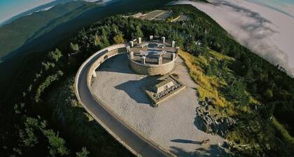 "Cabin in the City" available for your pleasure. Walk to Downtown Burnsville.