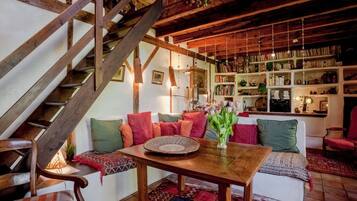 Télévision, cheminée, lecteur de DVD, livres