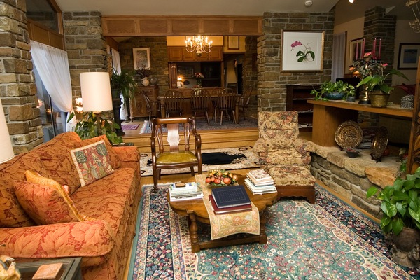 Smart TV, chimenea, reproductor de DVD, libros