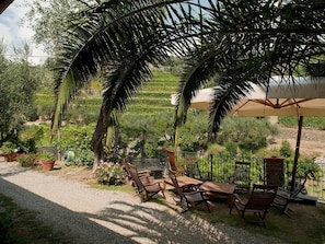 Terrace/patio - Agriturismo Buranco (Monterosso al Mare)