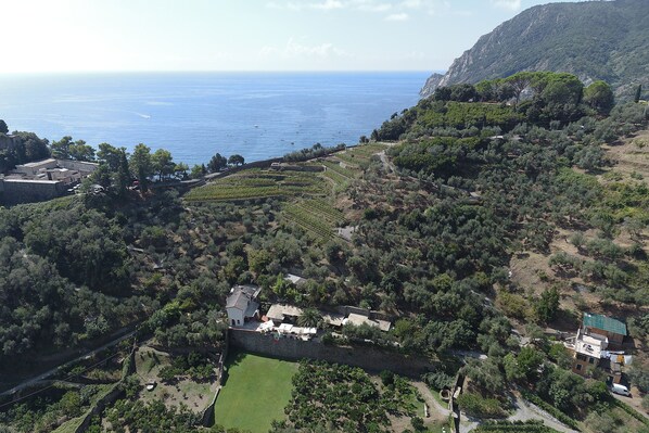 Propiedad costera con viñedos en terrazas, un muro de piedra y vistas al mar.