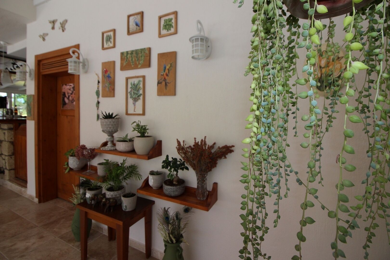 breakfast, lunch and dinner served