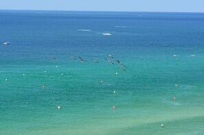Sur la plage