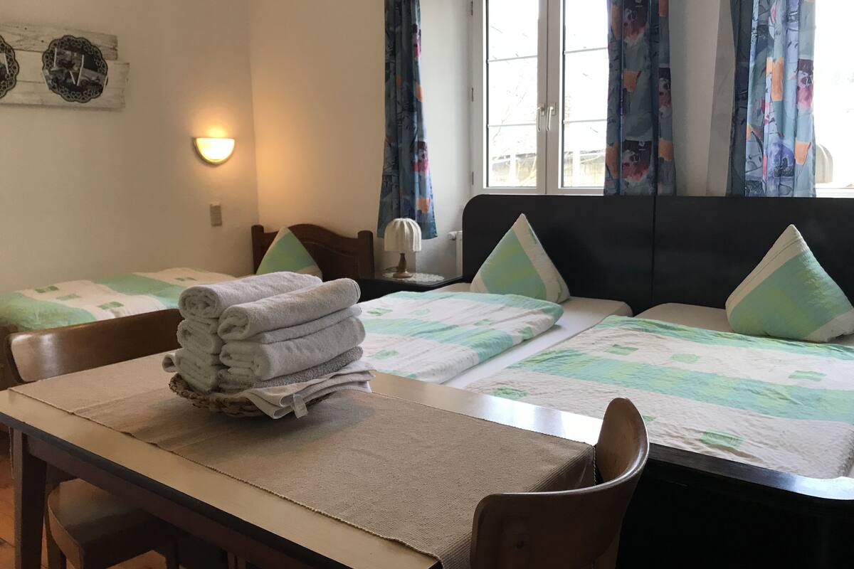 Double Room | Desk, free WiFi