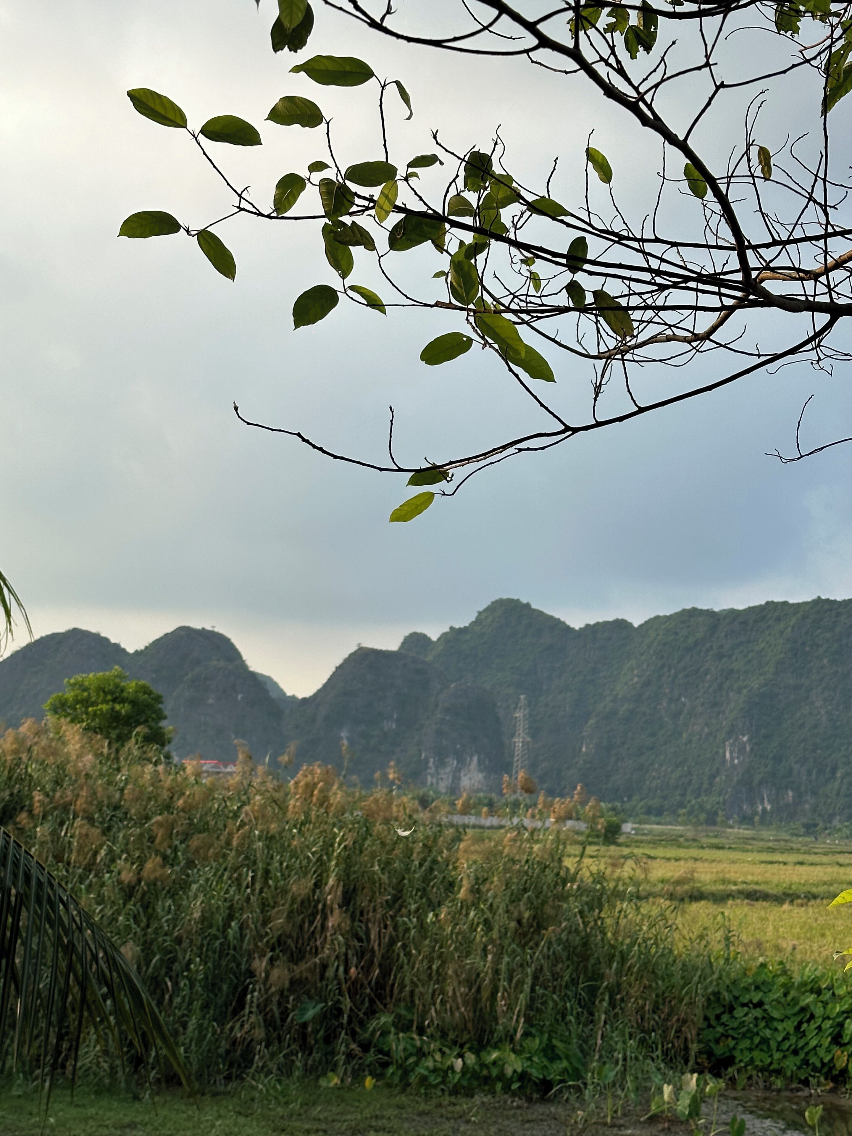 A landscape with a river, vegetation, and distant mountains.