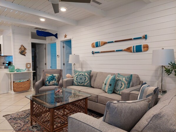 Smart TV, Netflix, DVD player, books