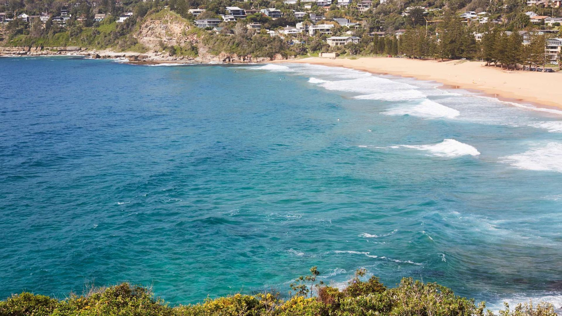 Whale Beach Bliss by Contemporary Hotels — image 26